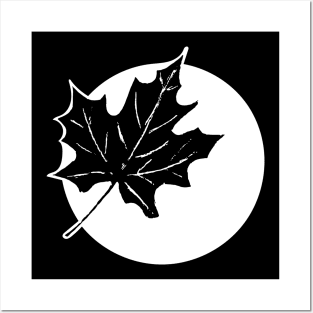 Plane tree leaf Posters and Art